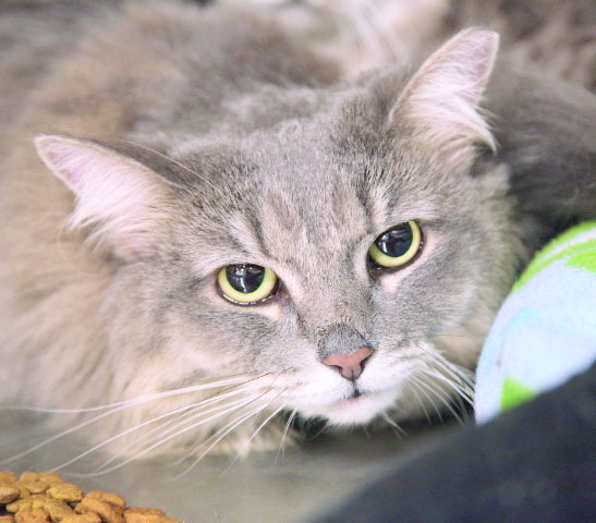 Someone to love: Princess